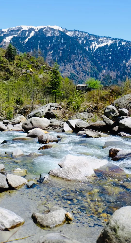 Snowy Mountain Adventure in Manali
